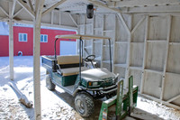 the mule in winter