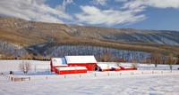 winter storm 2010