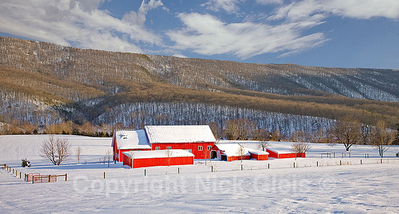 winter storm 2010