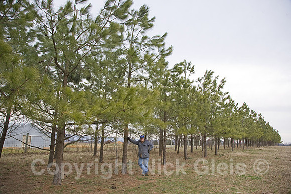Larry with trees 2008
