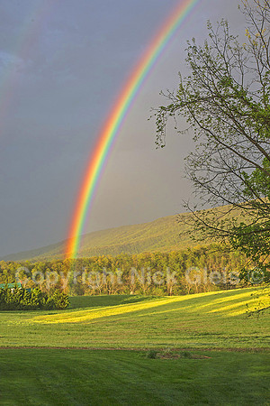 Looks like Charlie has the pot of gold in his field... Figures...