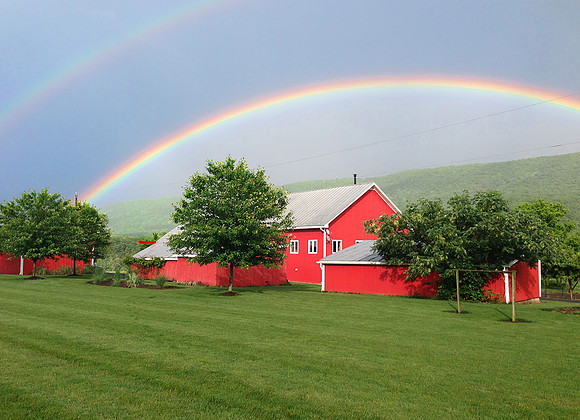 touchwood rainbow may 23