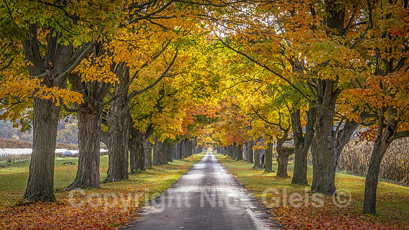Fall Driveway