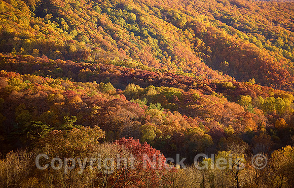 Blue Ridge Fall