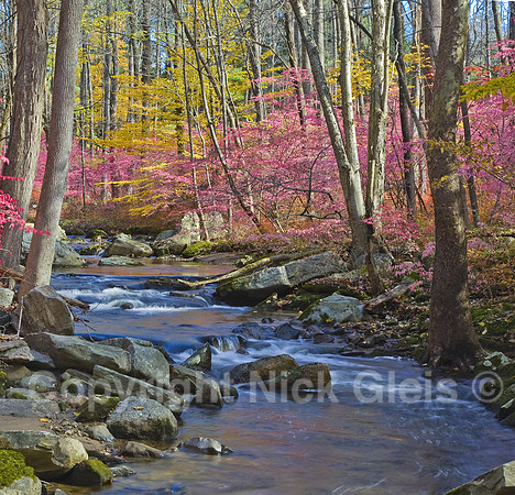 Connecticut Fall