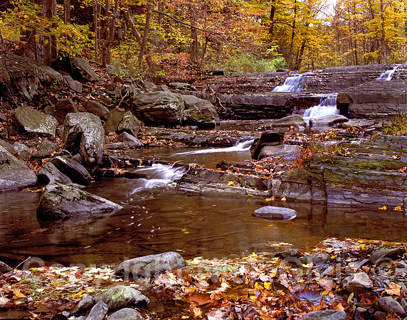 Autumn stream